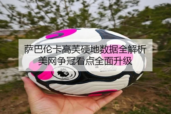 萨巴伦卡高芙硬地数据全解析 美网争冠看点全面升级